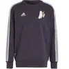 Image de Sweatshirt Real Madrid DNA 2024/25 Violet S IT3762