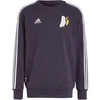 Image de Sweatshirt Real Madrid DNA 2024/25 Violet XL IT3762