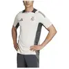 Image de T-shirt adidas  Maillot  Real Madrid Training 2024-2025 P31092300