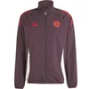 Image de Veste de survêtement Prematch Bayern Munich 2024/25 Rouge L IS9963