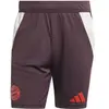 Image de Short d'entraînement Bayern Munich Tiro 2024/25 Rouge XS IS9949