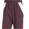 Image de Short match Bayern Munich Tiro 2024/25 Downtime Rouge S IS9948