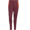 Image de Pantalon de survêtement Bayern Munich European Tiro 2024/25 Rouge S IS9966