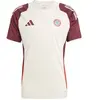 Image de Maillot Bayern Munich European Tiro 2024/25 Beige M IS9926