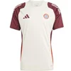 Image de Maillot Bayern Munich European Tiro 2024/25 Beige L IS9926