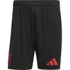 Image de Short Extérieur Benfica Lisbonne 2024/25 Noir S IT6486