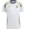 Image de Maillot Third Benfica Lisbonne 2024/25 Gris L IT6489