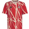 Image de Maillot Prematch enfant Bayern Munich 2024/25 Rouge 7/8 ans JD8333