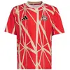 Image de T-shirt enfant adidas  Maillot Prématch P31701837