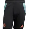 Image de Short Training Bayern Munich Tiro 2024/25 Noir S JI5276