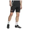 Image de Short adidas  Short  FC Bayern Tiro 24 P31095690