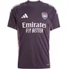 Image de Maillot Training Arsenal Tiro 2024/25 Violet XL JF2915