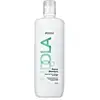 Image de Indola Shampoing réparateur 1l 1 24