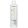 Image de Indola Shampoing antipelliculaire 300 ml 1 24