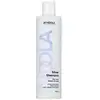 Image de Indola Shampoing Spécial Cheveux Gris 1l 1 24