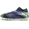 Image de Chaussures de football Puma Future Pro FG/AG Gris 44 107924-03