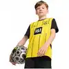 Image de T-shirts sport Puma  BORUSSIA.D 25 Home Jersey Replica Jr P31741961