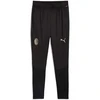 Image de Jogging Puma  AC Milan 24/25 P31125539