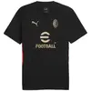 Image de T-shirts sport Puma  AC Milan Maillot Training P31796335
