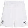 Image de Short Puma  775255-02 P29700891