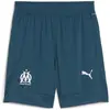 Image de Short Puma  778246 P31253781