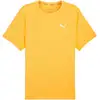 Image de T-shirt Puma  525058-38 P32228566