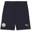 Image de Short Puma  775114-06 P30500610