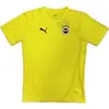 Image de Maillot d'entraînement Fenerbahçe 2024/25 Jaune XS 778121-11