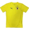 Image de Maillot d'entraînement Fenerbahçe 2024/25 Jaune S 778121-11