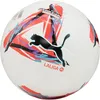 Image de Ballon De Football La Liga 1 (QualitÃ© FifaÂ®)