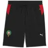 Image de Short Puma  Pumatech 778807 P31497109