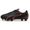 Image de Chaussures de football enfant Puma Vitoria FG/AG Noir 33 107486091