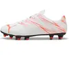 Image de Chaussures de football Puma Attacanto FG/AG Blanc 39 107477136