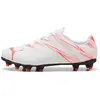 Image de Chaussures de football enfant Puma Attacanto FG/AG Blanc 29 10748013J11