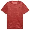Image de T-shirt Puma  Essentials P32578258