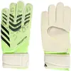 Image de Gants de gardien enfant adidas Predator Vert Taille 6,5 JN5351
