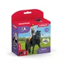 Image de schleich HORSE CLUB CavaliÃ¨re Tori et Princess