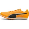Image de Chaussures Puma  Evospeed Star 9 M65900084