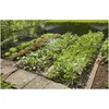 Image de Kit d'initiation Micro-Drip System pour potagers et massifs