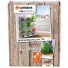 Image de Gardena Kit d'arrosage pour mur vÃ©gÃ©tal NatureUp! - 13156-20