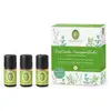 Image de Primavera Trousse de secours aromatique 3 x 5 ml