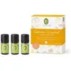 Image de Primavera Coffret Bonheur Agrumes (3 x 5 ml) - Coffret d'identification - 5 ml