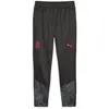 Image de Jogging Puma  AC Milan P29591333