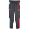 Image de Jogging Puma  Survêtement MCFC PREM WOV PNT P31957202