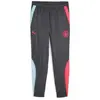 Image de Jogging Puma  Prematch Woven P28766568