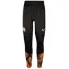 Image de Jogging enfant Puma  Training 23/24 P28760286
