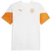 Image de T-shirt Puma  Manchester City 2023/24 P28685775