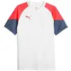 Image de T-shirt Puma  Individualcup P31362993