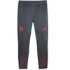 Image de Pantalon de survêtement Trainning Manchester City 2023/24 Gris S 772864-16