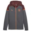 Image de Sweatshirts à capuche Puma  Manchester City Sweat Zippé P28760289